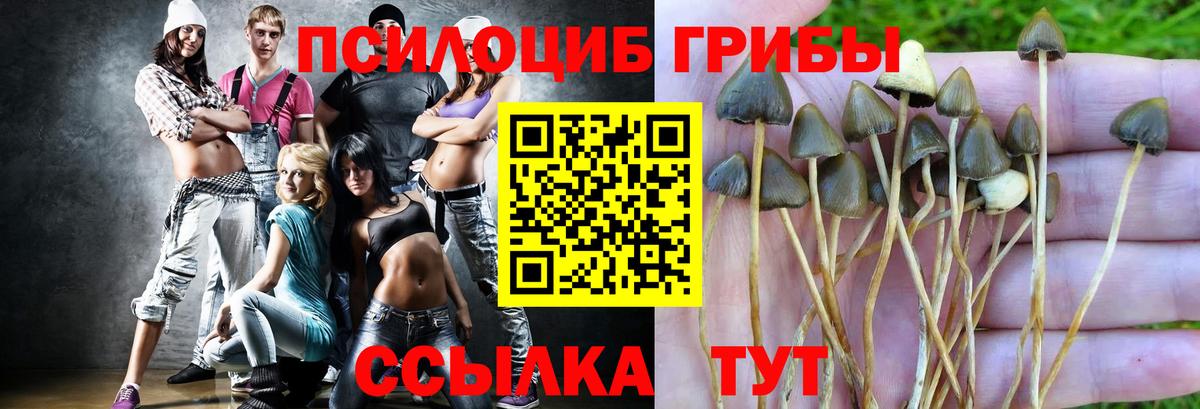 Псилоцибиновые грибы прущие грибы Нарткала