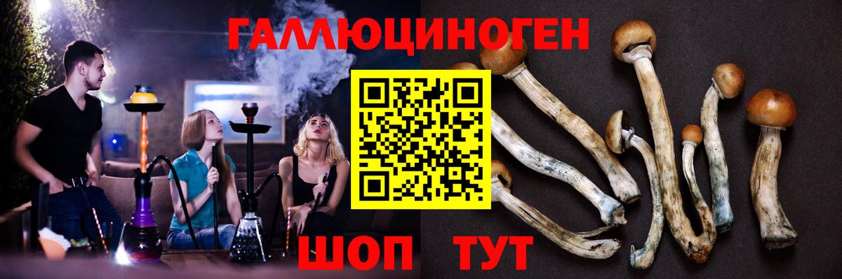 Галлюциногенные грибы Magic Shrooms  Псилоцибиновые грибы MAGIC MUSHROOMS  Вход с VPN  Нарткала 