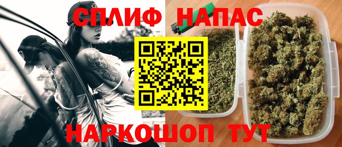 Марихуана сатива  Каннабис сатива  Конопля индика  Вход с VPN  Нарткала 